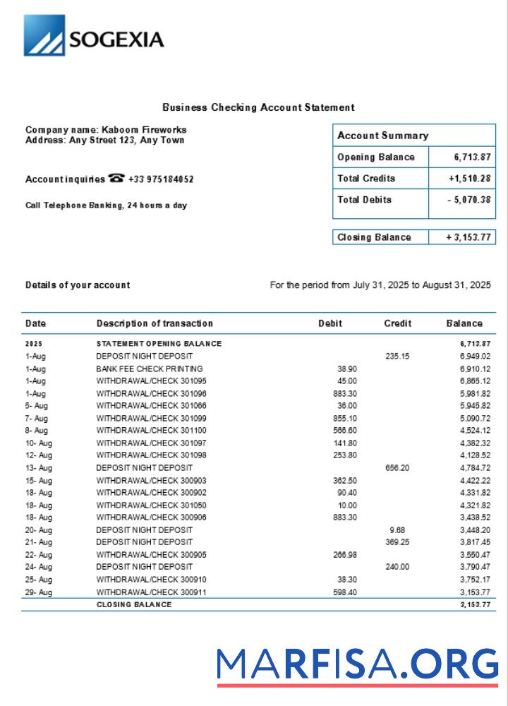 Printable Sogexia organization checking account statement Word and PDF template (1)